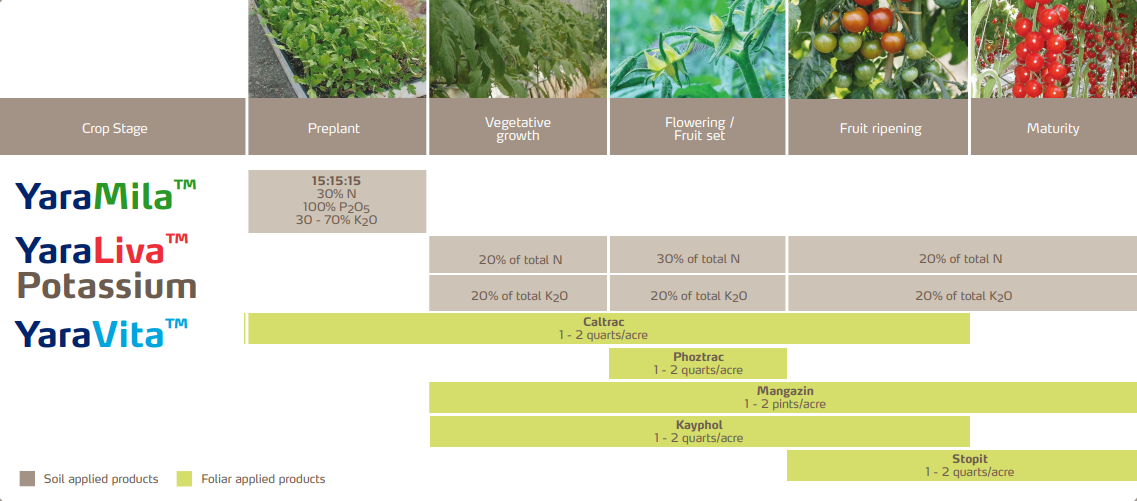 Tomato crop nutrition programme
