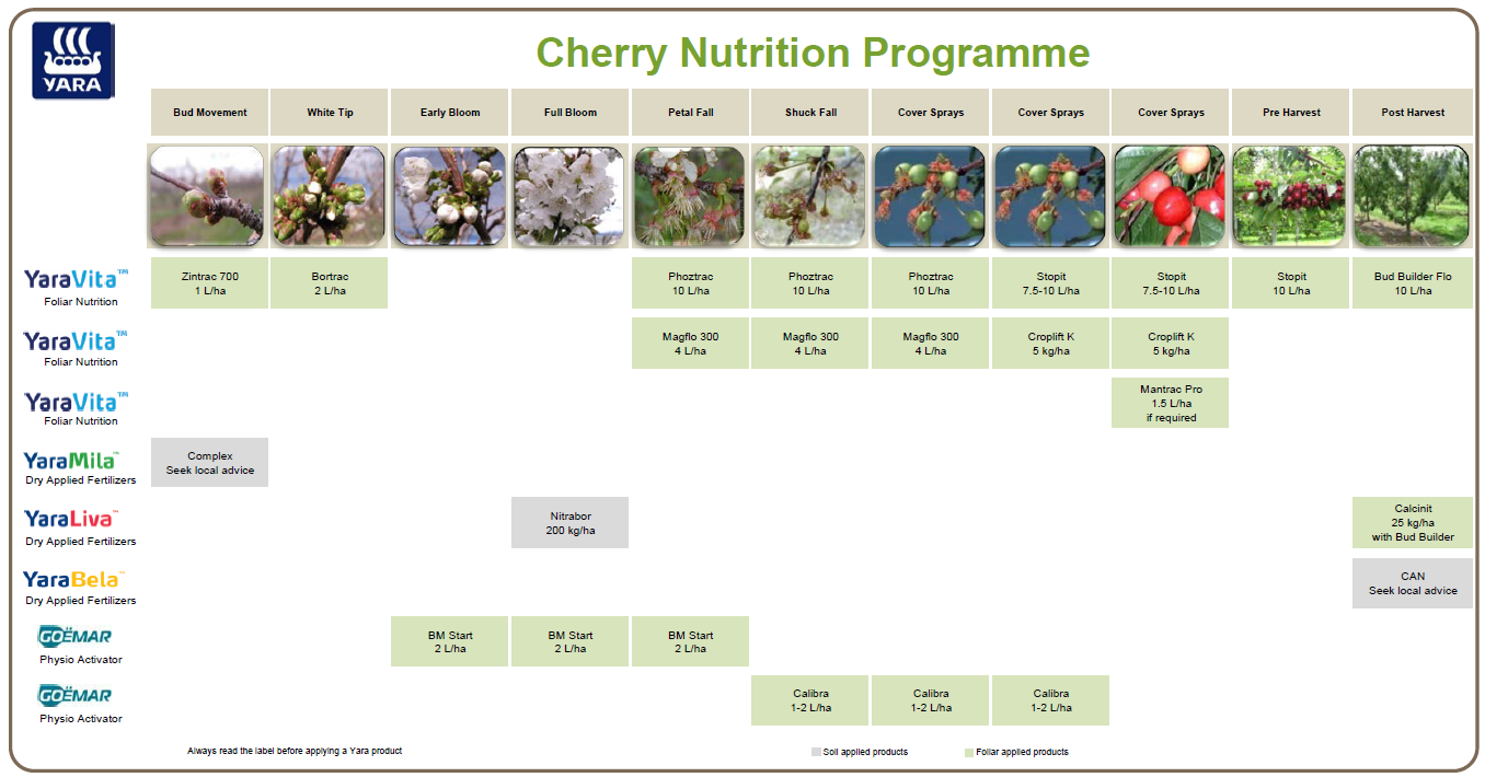 Cherry crop nutrition programme