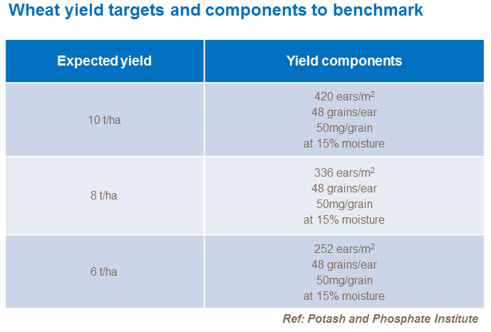 Wheat yield targets and components to benchmark