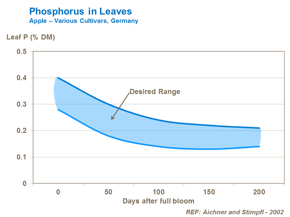 Phosphorus in apple leaves