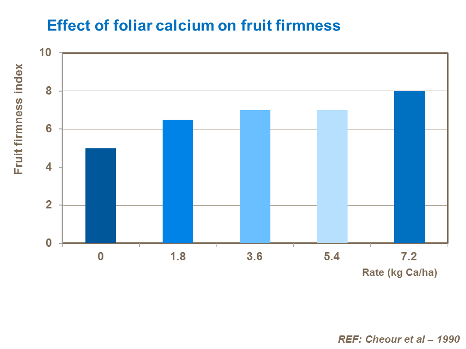 Effect of foliar calcium on fruit firmness
