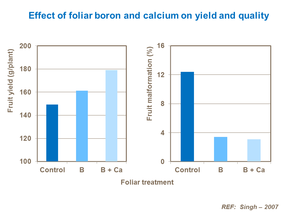 Effect of calcium form on alleviating salt stress