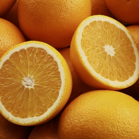 Citrus